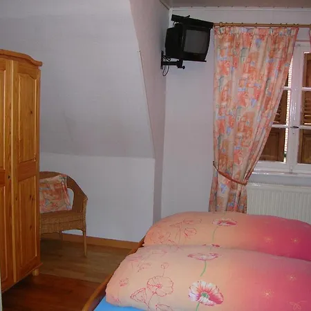 Hotel Hotel-restaurant Du Windstein